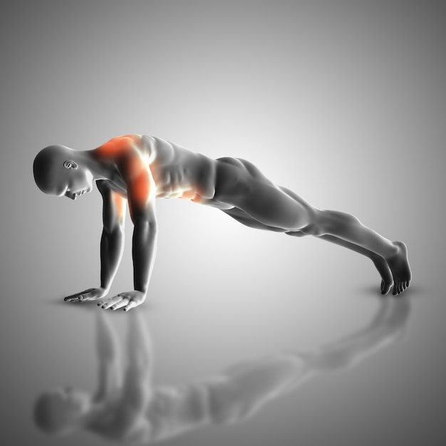 3D render van een mannelijke figuur in de druk omhoog positie waarin spieren gebruikt worden