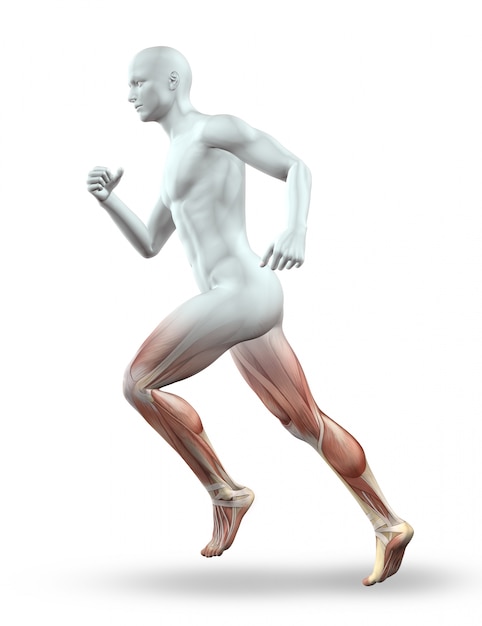 3D render van een mannelijke figuur met skelet running