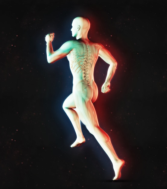 3D render van een mannelijke medische figuur in hardlopen met dubbel kleur effect