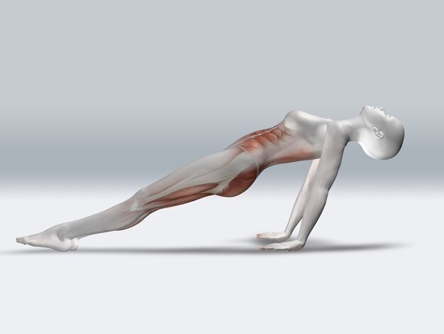 3D vrouwelijke figuur in omgekeerde plank pose met gemarkeerde spieren