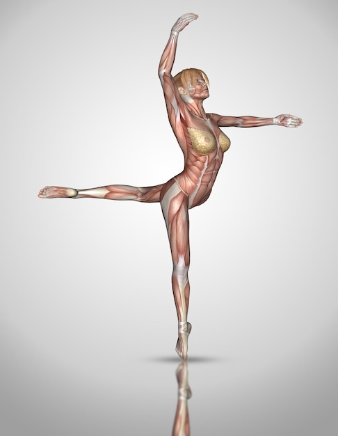 3D vrouwelijke medische figuur in ballet pose