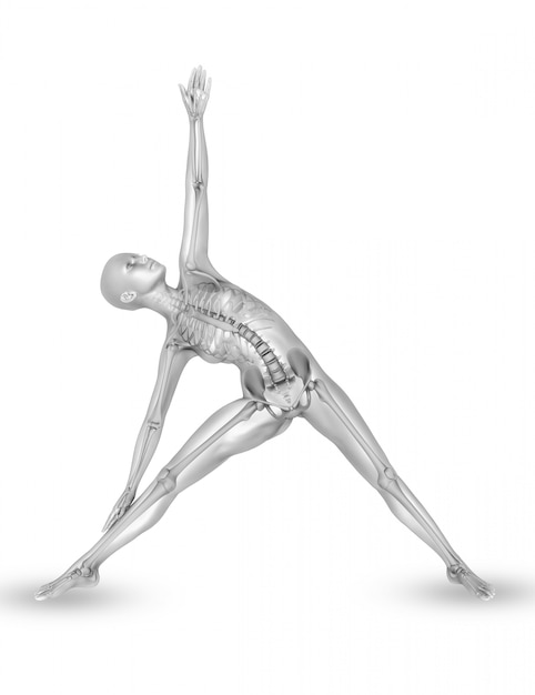 3D vrouwelijke medische figuur met skelet in yoga pose