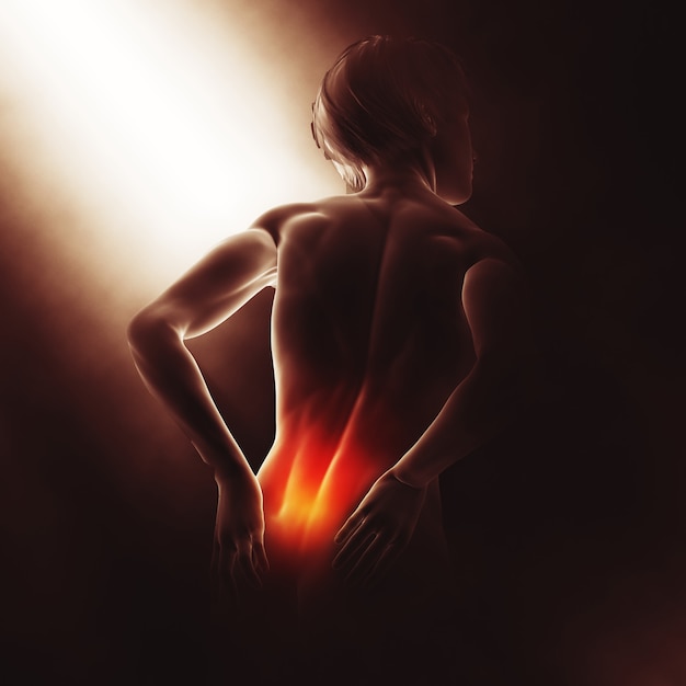 3D-weergave van een medisch beeld met een vrouw die haar pijn in de rug houdt