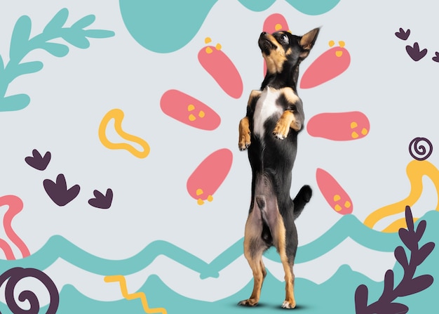 Gratis foto aanbiddelijke hond met abstracte kleurrijke grafische achtergrond