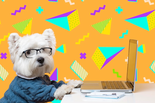 Aanbiddelijke hond met abstracte kleurrijke grafische achtergrond