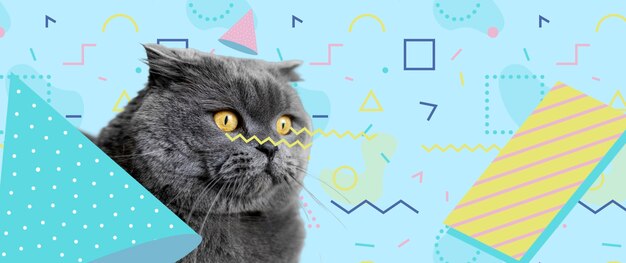 Aanbiddelijke kat met abstracte kleurrijke grafische achtergrond