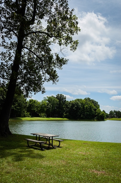 aangenaam parklandschap met zonnestralen schijnt in het meer
