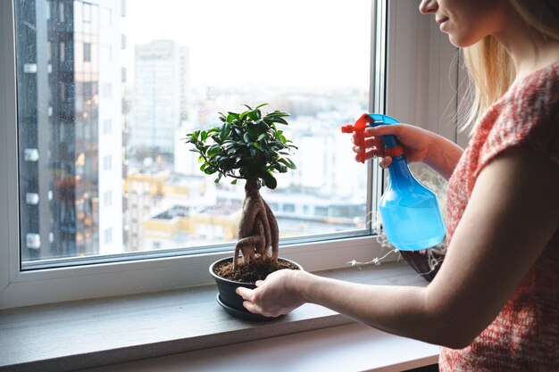 Aantrekkelijke vrouw die een bonsaiboom in het appartement water geeft