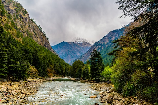 Gratis foto aard van de chalal trek trail, sosan, india