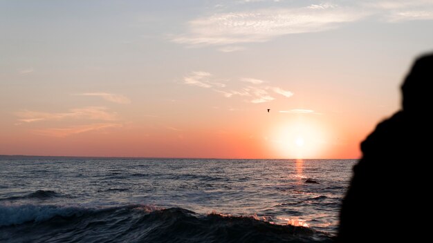 Achteraanzicht persoon kijken naar de zonsondergang met kopie ruimte