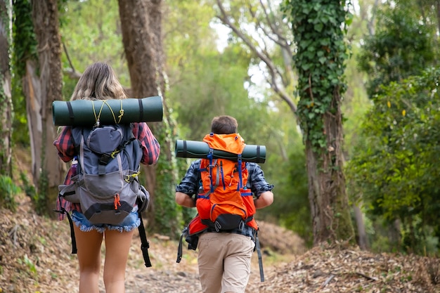 Achteraanzicht van backpackers lopen op bergachtig parcours. Kaukasische wandelaars of reizigers die rugzakken dragen en samen in het bos wandelen. Backpacken toerisme, avontuur en zomervakantie concept