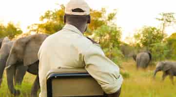 Gratis foto achteraanzicht van een afro-amerikaanse man die op safari naar olifanten kijkt