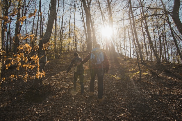 Gratis foto achteraanzicht van ramblers die in het bos lopen