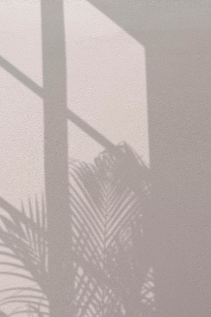 Gratis Foto achtergrond met palmboom en raamschaduw