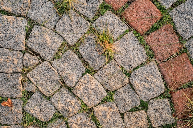 Gratis foto achtergrond van grijze kleine straatstenen met ontsproten gras tussen de stenen bovenaanzicht van het pad opgefrist door de zon idee voor achtergrond of behang