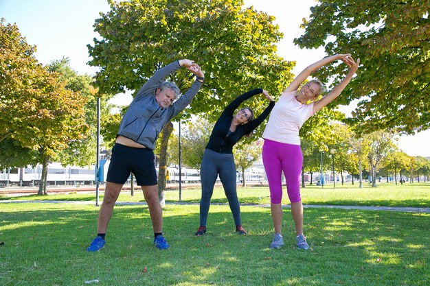 Actieve sportieve volwassen mensen doen ochtendoefening in park, staande op gras en buigende boomstammen. Pensioen of actief levensstijlconcept