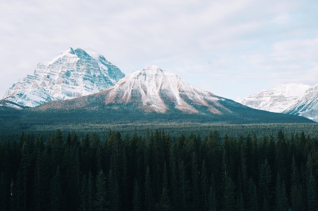 Adembenemend berglandschap met bomen ervoor