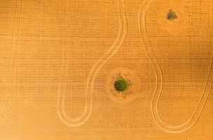 Adembenemend bovenaanzicht van landbouwgebied en gecultiveerde velden op zonnige dagdrone-fotografie
