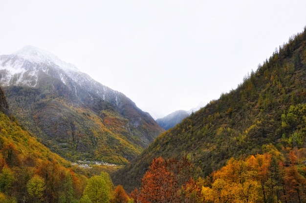 Adembenemend uitzicht op bergen met kleurrijke herfstbomen tegen een mistige achtergrond