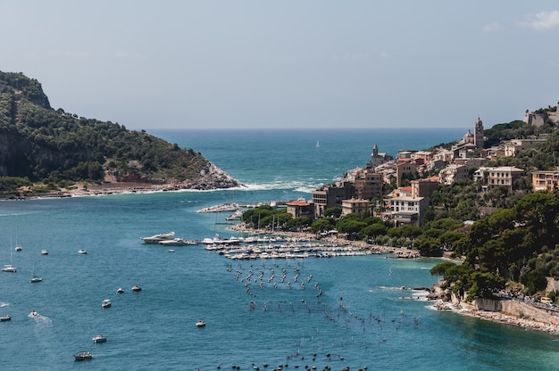 Afbeelding van kleurrijke gebouwen op een heuvel omgeven door groen in palmaria porto, italië