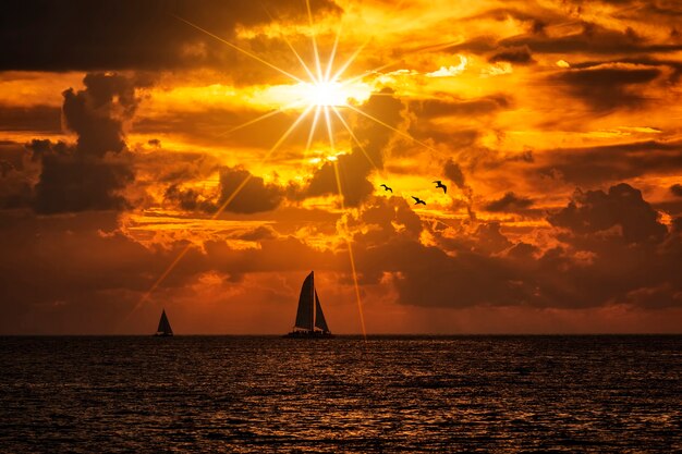 Afgetekende boot die langs zijn reis vaart tegen een levendige kleurrijke zonsondergang met vogels