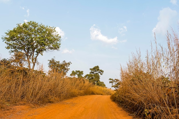 Afrikaans natuurlandschap met traject
