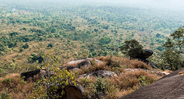 Afrikaans natuurlandschap met vegetatie