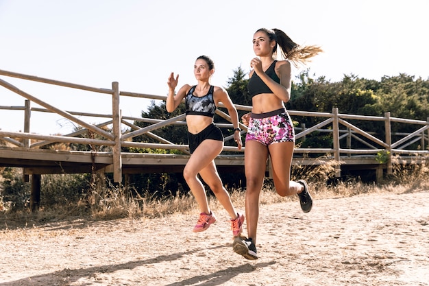 Afstandsschoten die samen joggen