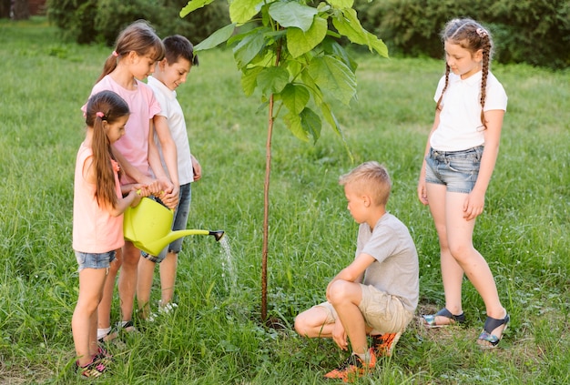 Gratis foto afstandsschoten kinderen plateren een boom