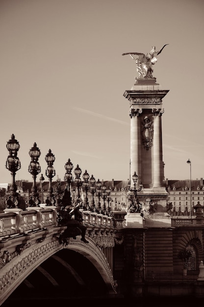 Alexandre III-brug in Parijs, Frankrijk.