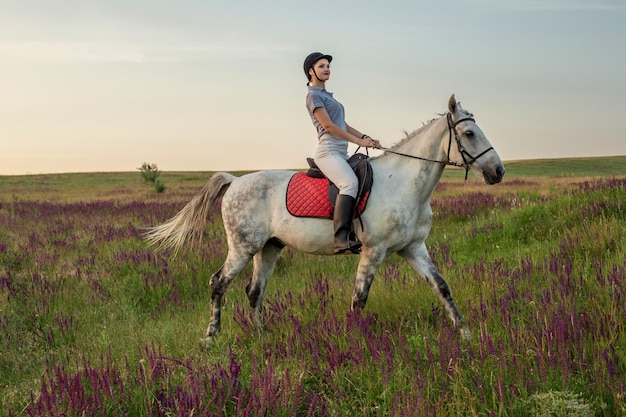 Amazone jockey in uniform rijpaard buitenshuis. Zonsondergang. Paardrijden. Wedstrijd. Hobby