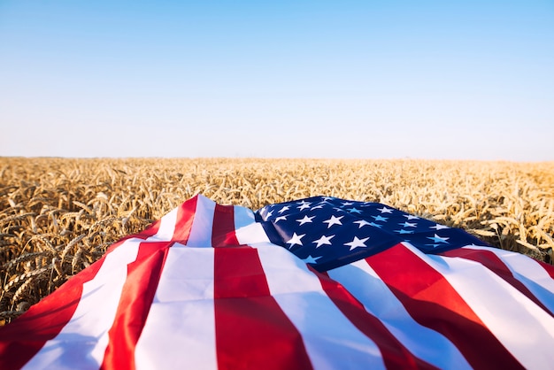 Amerikaanse vlag op het tarweveld die de sterke landbouw, economie en vrijheid van de Verenigde Staten van Amerika vertegenwoordigt