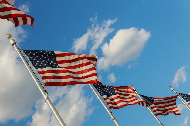 Amerikaanse vlaggen die in de wind blazen bij in district van in washington dc de vs