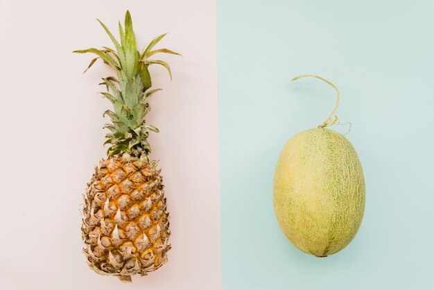 Ananas en meloen op veelkleurige achtergrond