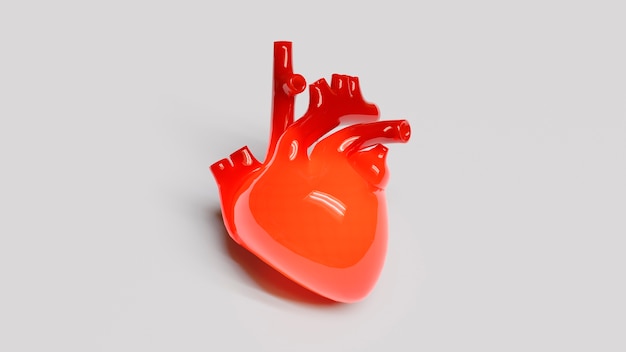 Gratis foto anatomisch hart met witte achtergrond