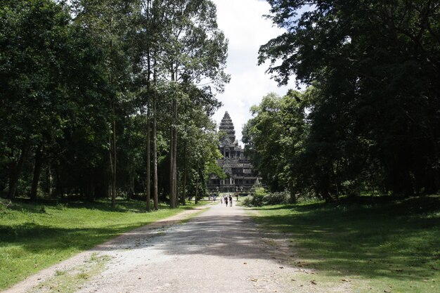 Anckor paleizen, Siem Reap, Camboda. Prachtig paradijs.