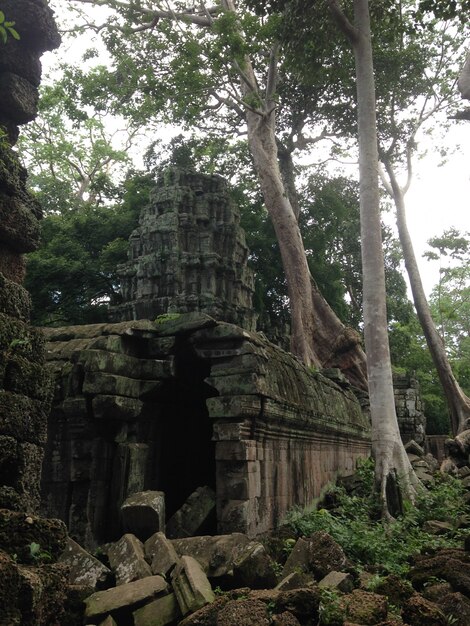 Anckor paleizen, Siem Reap, Camboda. Prachtig paradijs.