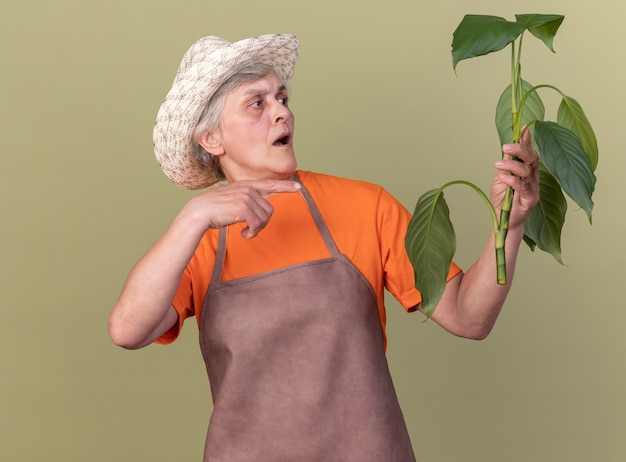 Angstige oudere vrouwelijke tuinman met een tuinhoed die vasthoudt en naar een plantentak wijst