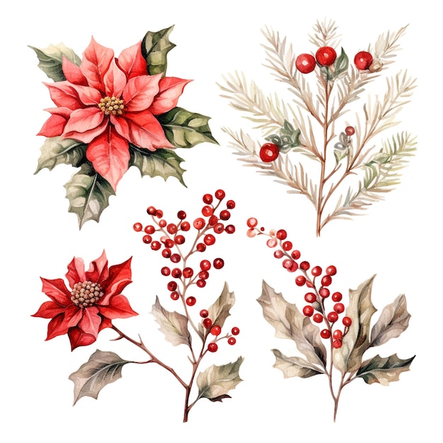 Aquarel kerstbladeren en bloemen collectie