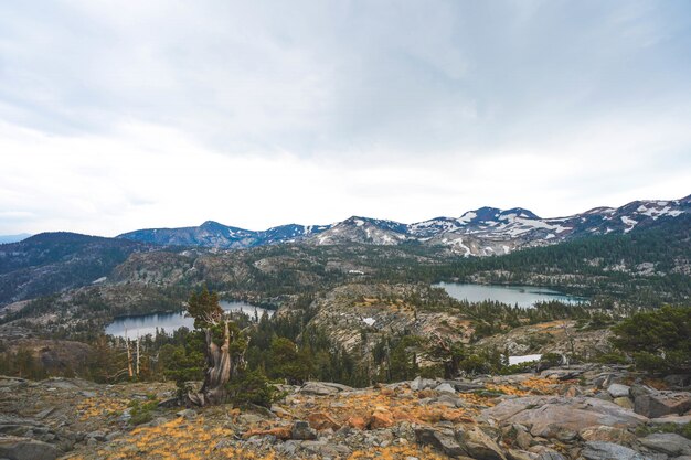 Ariel die van klippen en bergen is ontsproten met bomen die rond hen groeien dichtbij Meer Tahoe, CA