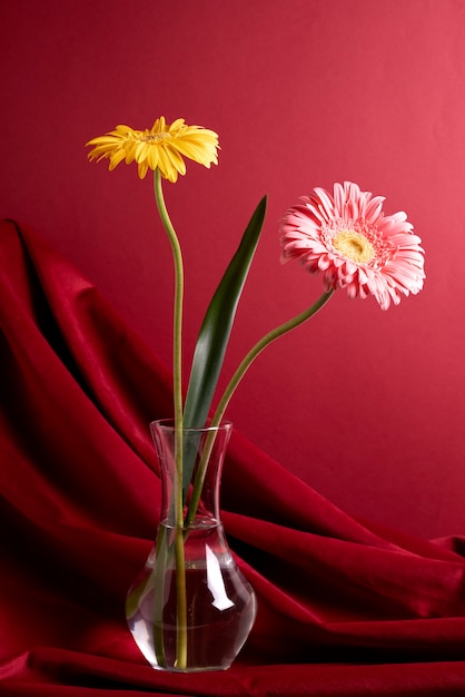 Gratis foto arrangement met mooie gerbera in watervaas