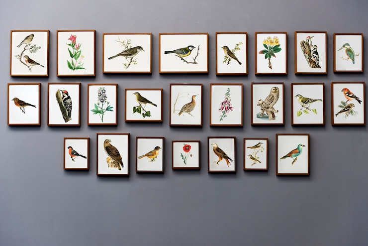 Gratis Foto art gallery antique frame concept