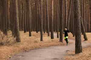 Gratis foto atleet joggen in het bos