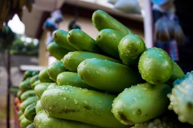 Aubergine in een markt in India