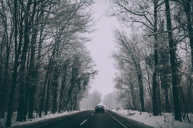 Gratis foto auto op de weg door een winterpark