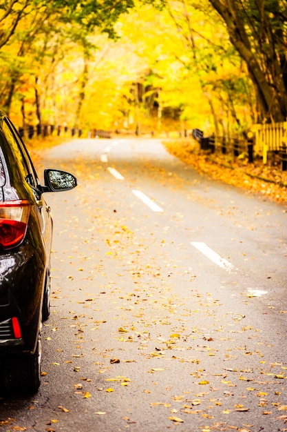 Auto op de weg in de herfstbos