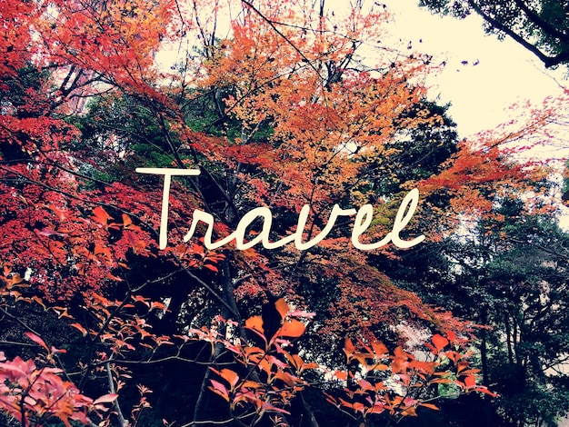 Autumn leaf japan landmark met reis woord