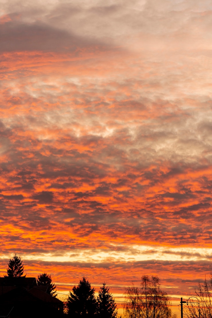 Gratis Foto avondrood met bomen
