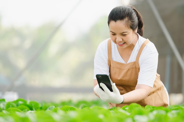 Aziatische boerenvrouw die werkt in een biologische plantaardige hydrocultuurboerderij. Hydroponic saladetuineigenaar die de kwaliteit van de groente in de kasplantage controleert.