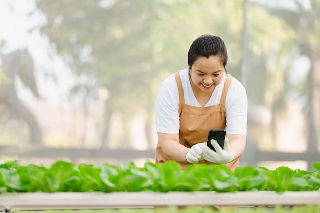 Aziatische boerenvrouw die werkt in een biologische plantaardige hydrocultuurboerderij. Hydroponic saladetuineigenaar die de kwaliteit van de groente in de kasplantage controleert.